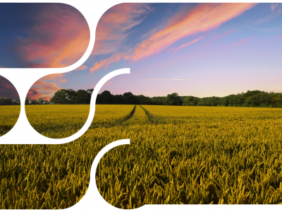 Manipulació i aplicació de productes fitosanitaris. Nivell bàsic